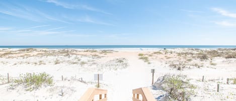 Plage, chaises longues, serviettes de plage