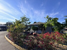 Una propiedad residencial con un camino pavimentado, un jardín con plantas florecientes y una casa con techo inclinado.