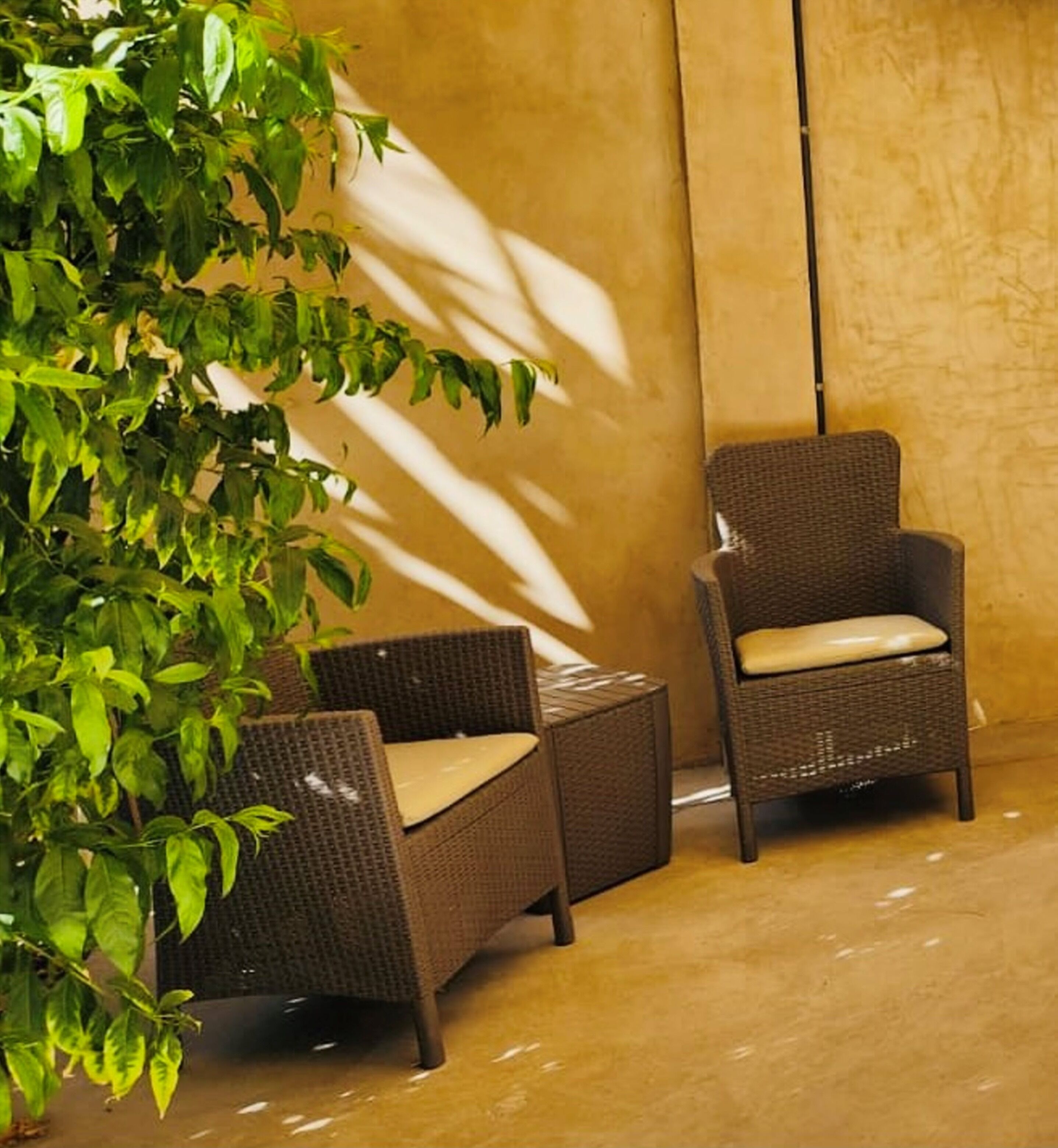 Uma cadeira de vime com almofada, uma mesinha lateral combinando e uma planta em vaso em ambiente externo.