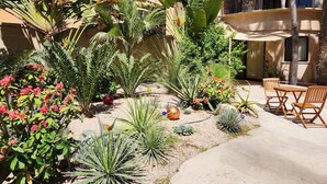 A courtyard with various plants, a seating area with wooden chairs, and a building with a beige facade. - Alegria Suites Centro Historico  (Todos Santos)