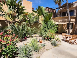 Terrace/patio - Alegria Suites Centro Historico (Todos Santos)