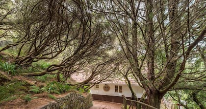 Rabaçal Nature Spot Cottage