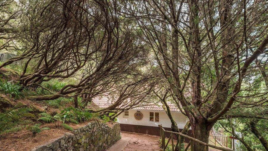 Rabaçal Nature Spot Cottage