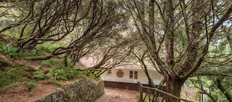 Rabaçal Nature Spot Cottage