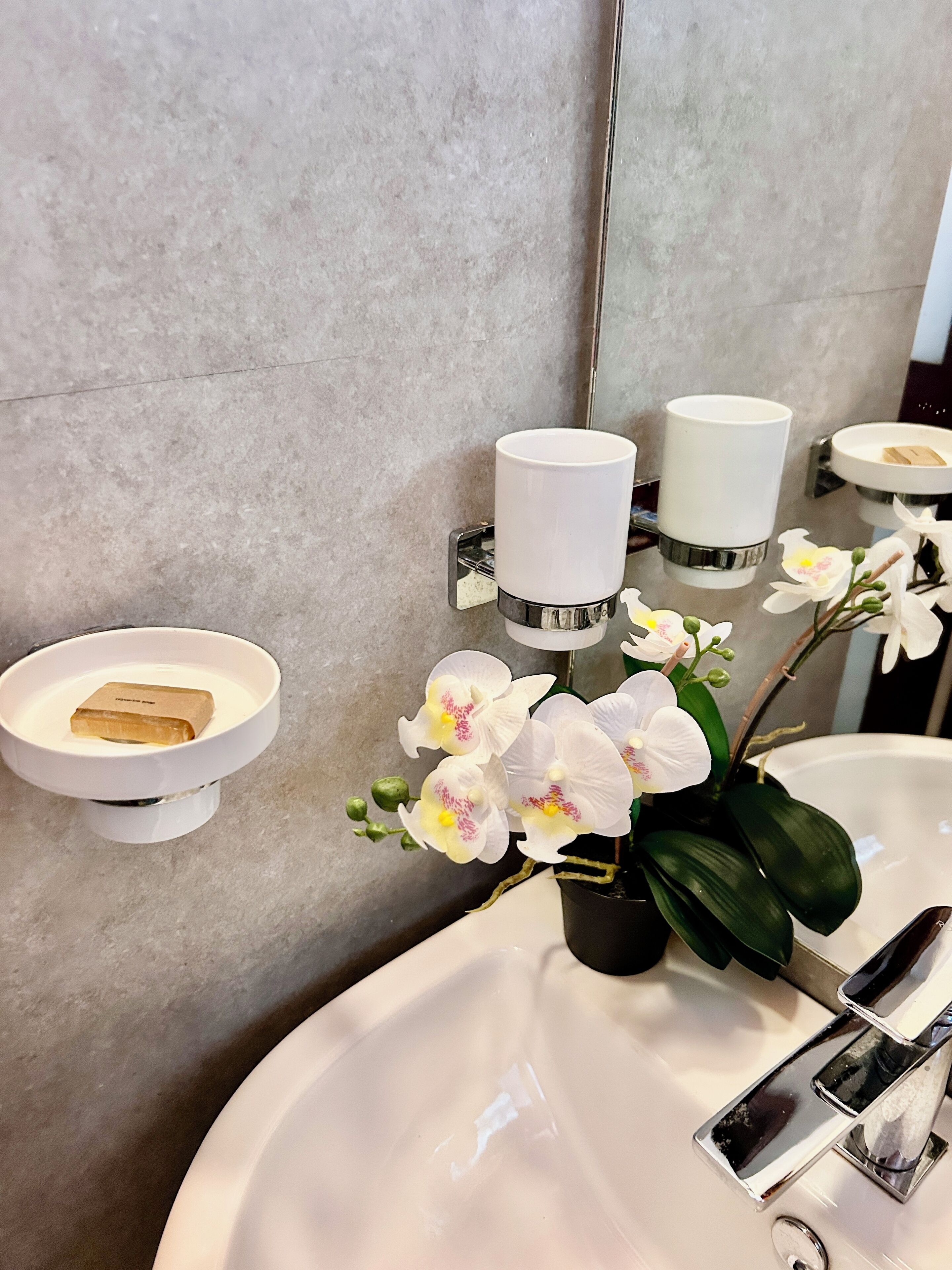 A bathroom with a white sink, a mirror, and a potted orchid plant.