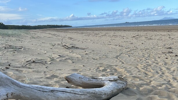 A sandy beach with driftwood. - Beach, Sand Relax (Bucasia)