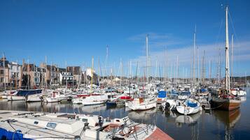 Un port de plaisance où de nombreux bateaux sont amarrés, des bâtiments qui bordent la rive et une eau calme.