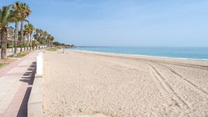 Ein Strand mit einem gepflasterten Gehweg, gesäumt von Palmen, der zum Meer führt.