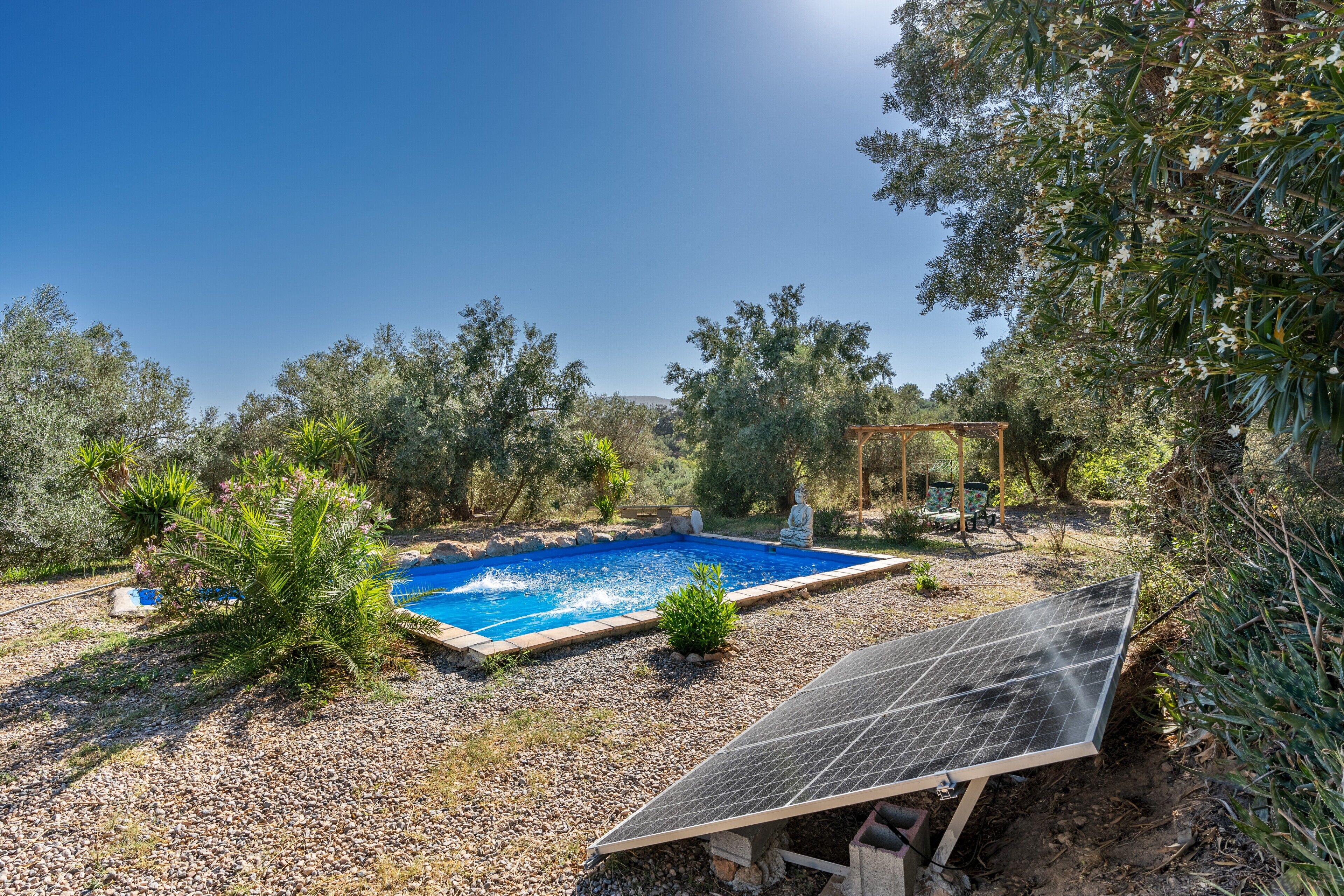 Una piscina rodeada de árboles, con un panel solar al frente.