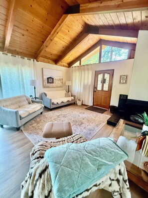 Smart TV, chimenea y libros 