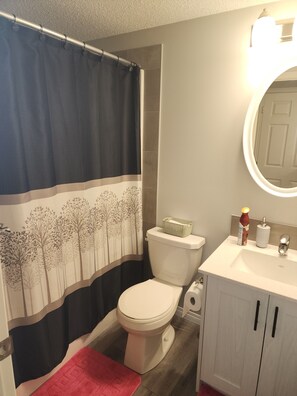 Hair dryer, towels, soap, shampoo