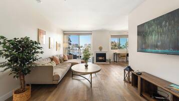 Smart TV, DVD player, books