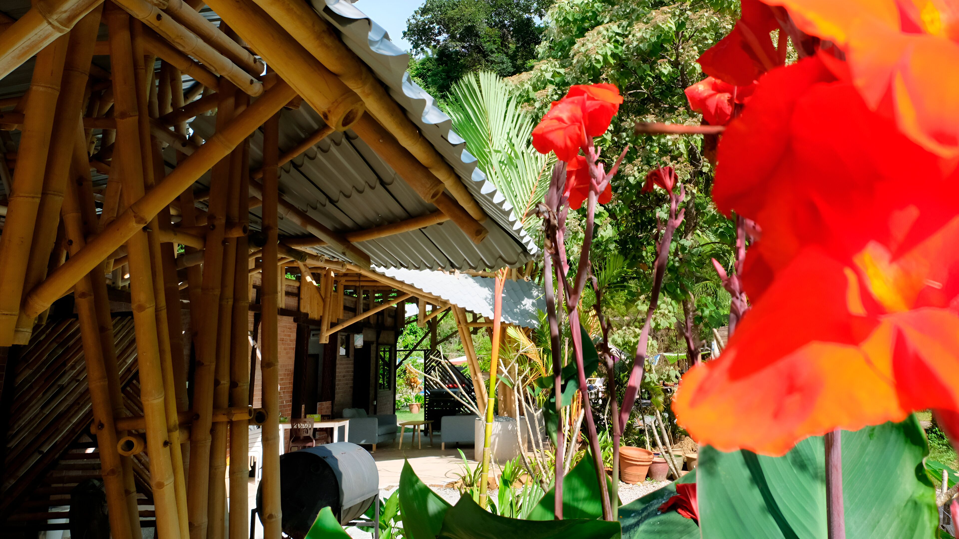 Photo - Bamboo Cottage Langkawi