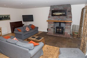 Smart-TV, Kamin
