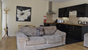 A modern kitchen with black cabinets, a microwave, and a stove. There is a grey sofa with a decorative pillow in the living area. - Courtyard Studio (Auchendennan) (Alexandria)