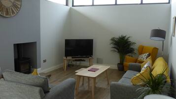 TV, fireplace