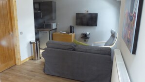 Ein kompakter Wohnraum mit grauem Sofa, einer kleinen Küchenzeile, einem an der Wand befestigten Fernseher und einer Heizung.