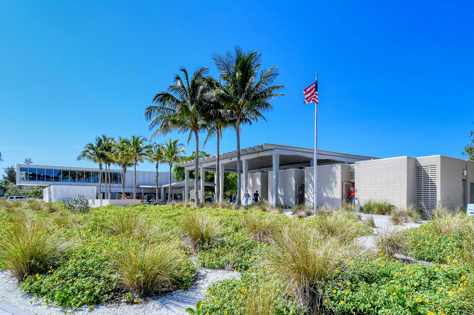 A modern building with a covered walkway, palm trees, and an American flag.