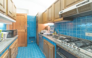 Microwave, oven, cookware/dishes/utensils, spices