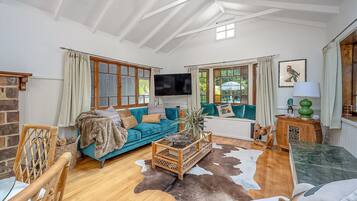 TV, fireplace, video games, DVD player