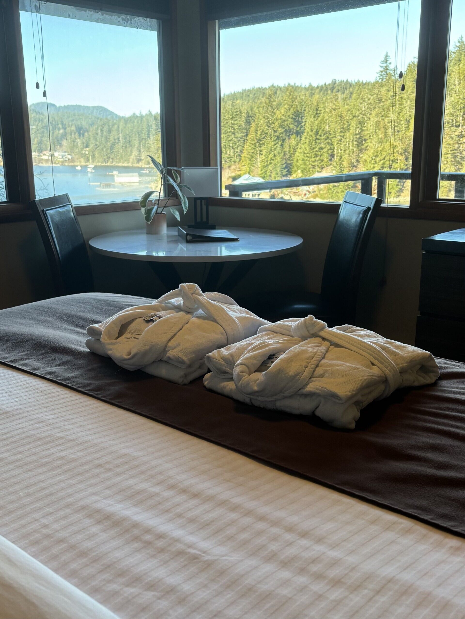 Tabla de planchar con plancha y wifi gratis 