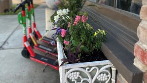 A window box with flowers and a decorative metal frame. - Downtown Mobile near Dauphin, St Louis, Greer's, Saenger, Restaurants - Unit A (Mobile)