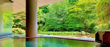 A serene indoor pool area with a view of lush greenery and a pond.