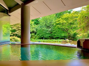 Un espace piscine intérieure paisible, avec vue sur une végétation luxuriante et un étang.