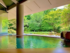 A serene indoor pool area with a view of lush greenery and a pond.