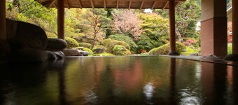 Ryumontei Chiba Ryokan