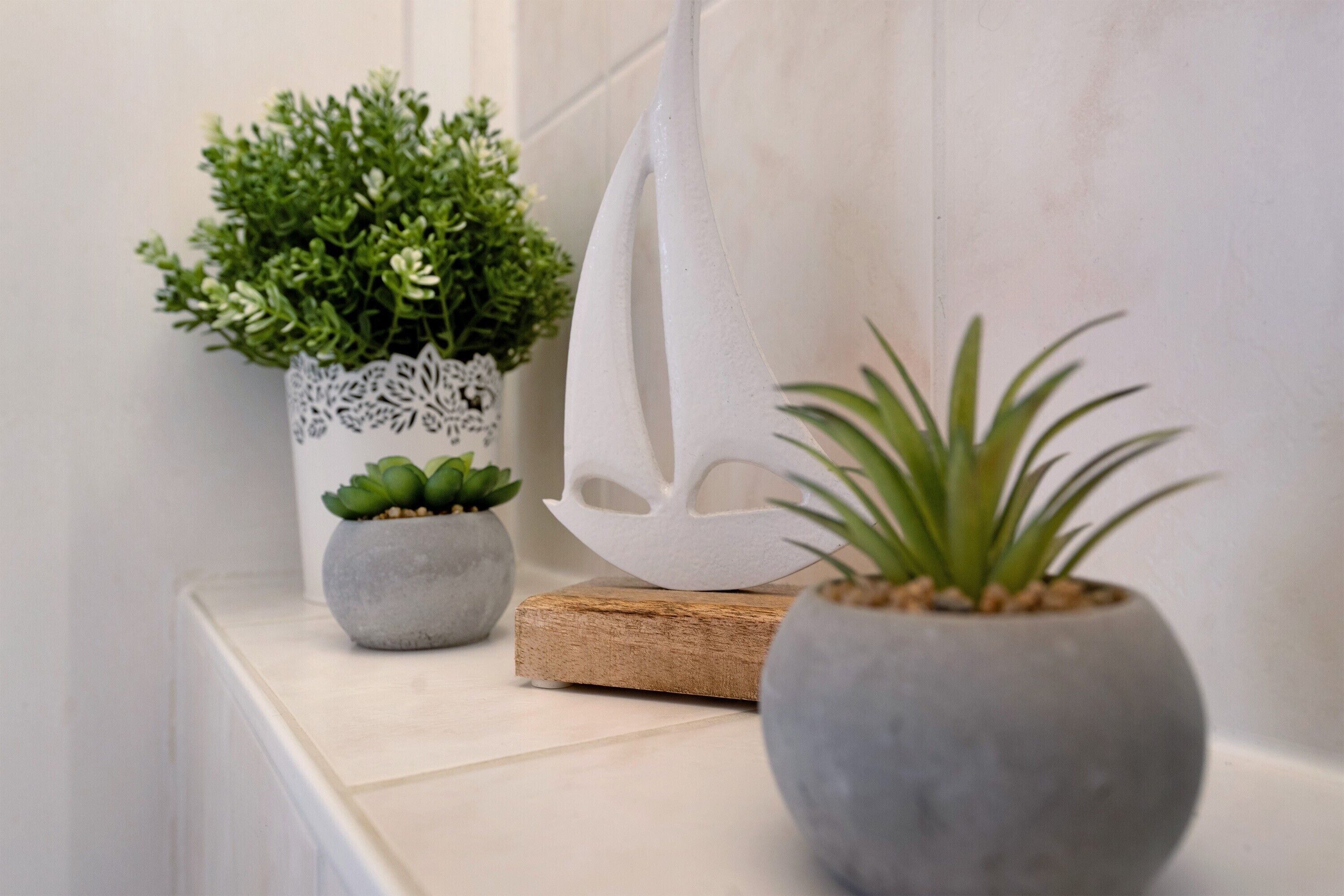 A potted plant on a shelf, a decorative sail, and a small succulent plant.