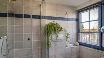 Shower, hair dryer, towels