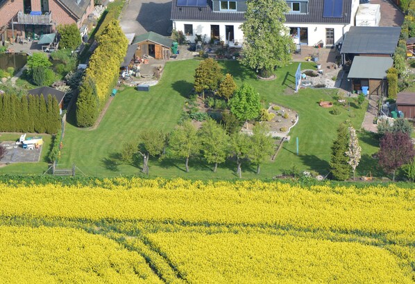 A residential area with a large garden, a house with a solar panel, and a field of yellow flowers.