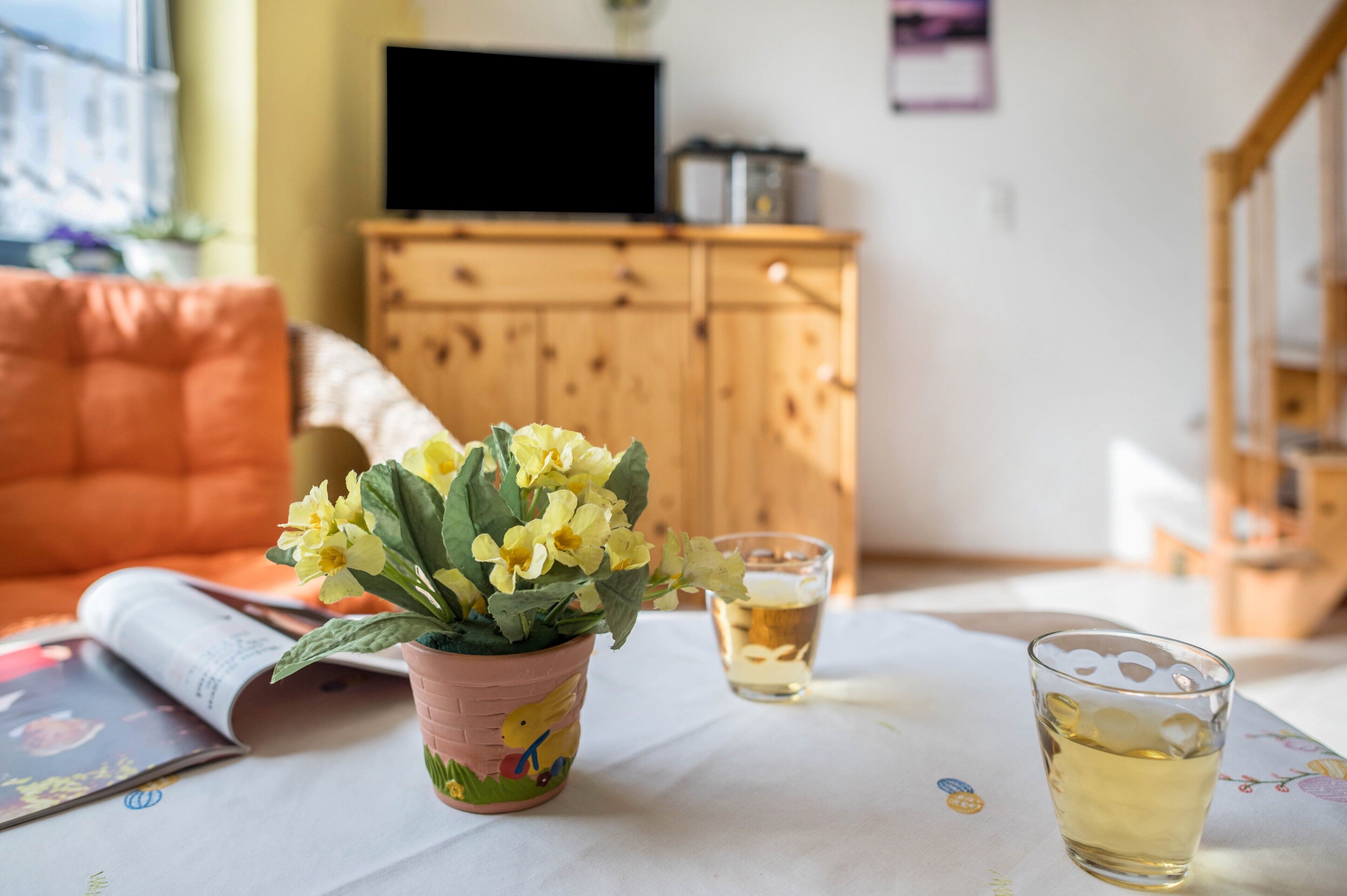 Ein Zimmer mit einem Holzkasten, einem Fernseher, einer Topfpflanze und einem Tisch mit einem Glas und einem Buch.