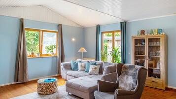 Fernseher, Kamin, Videospiele, DVD-Player