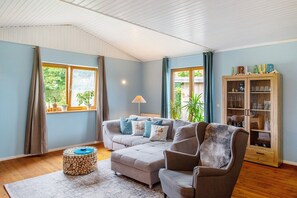 Televisión, chimenea, videojuegos y reproductor de DVD 