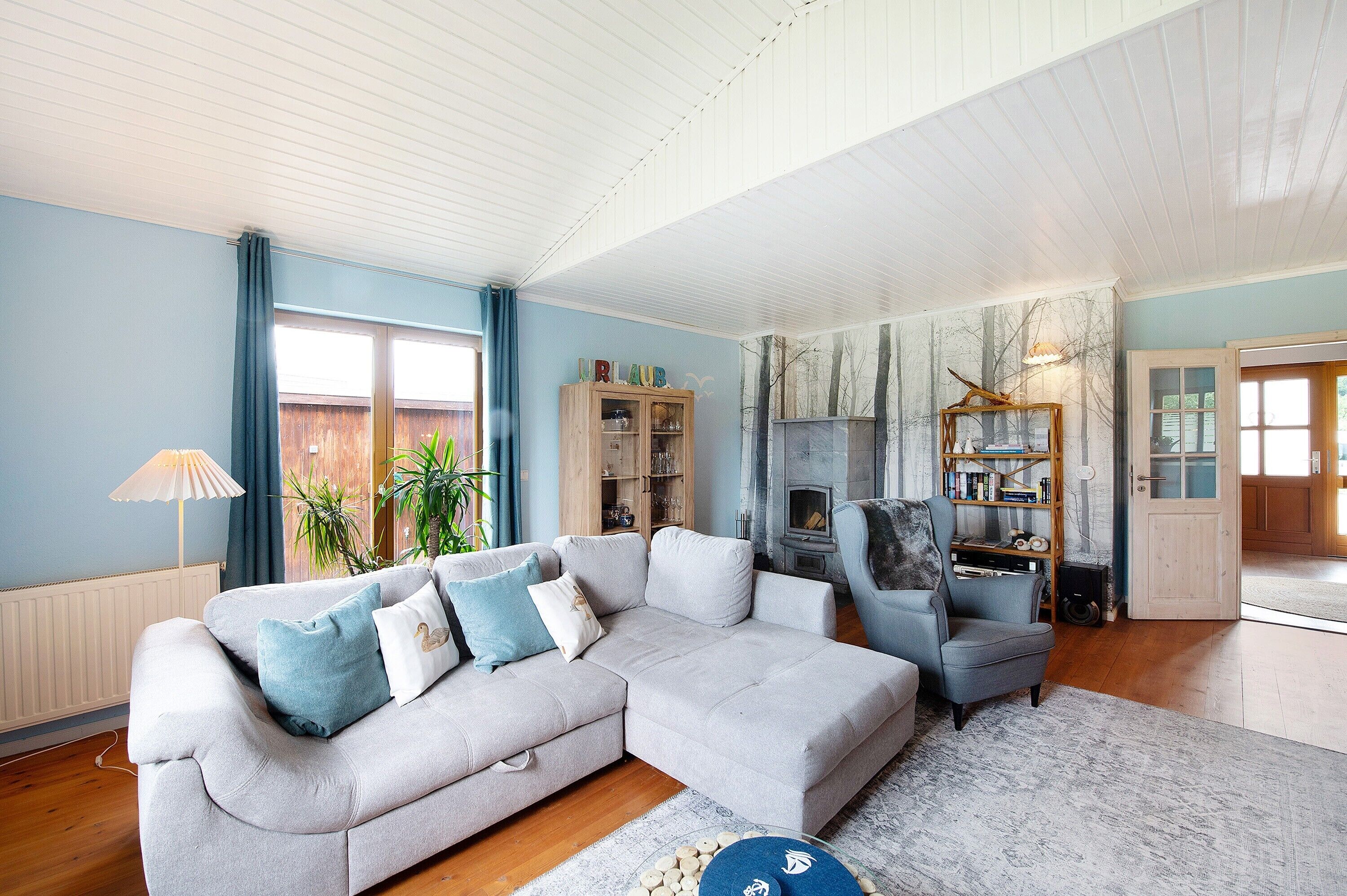 TV, fireplace, video games, DVD player