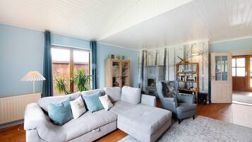 Fernseher, Kamin, Videospiele, DVD-Player