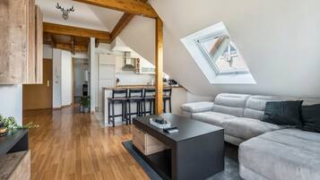Fernseher