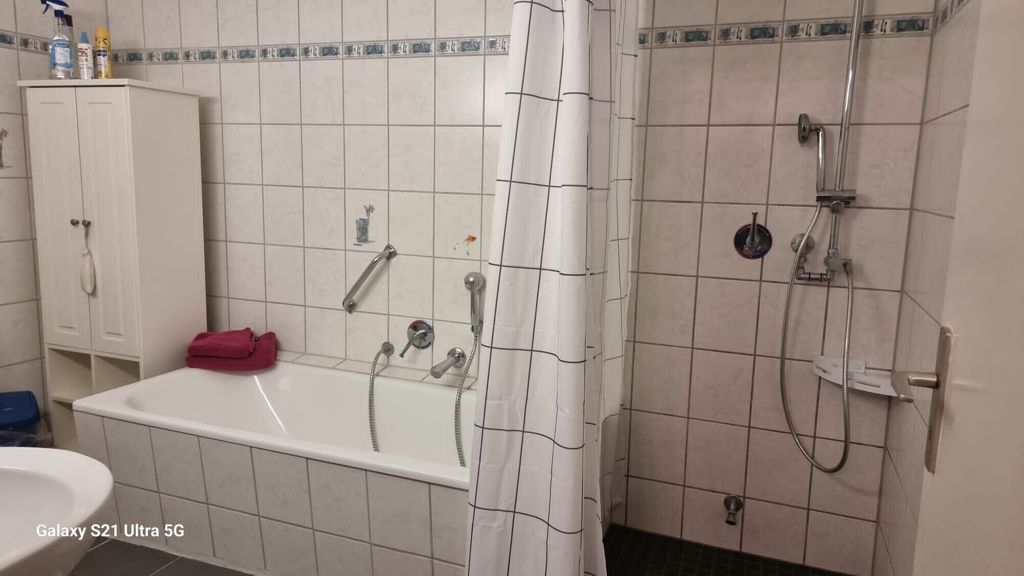 Shower, free toiletries, hair dryer, towels