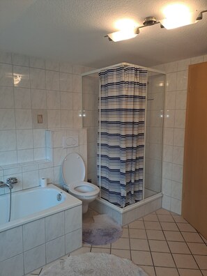 Dusche, kostenlose Toilettenartikel, Haartrockner, Handtücher
