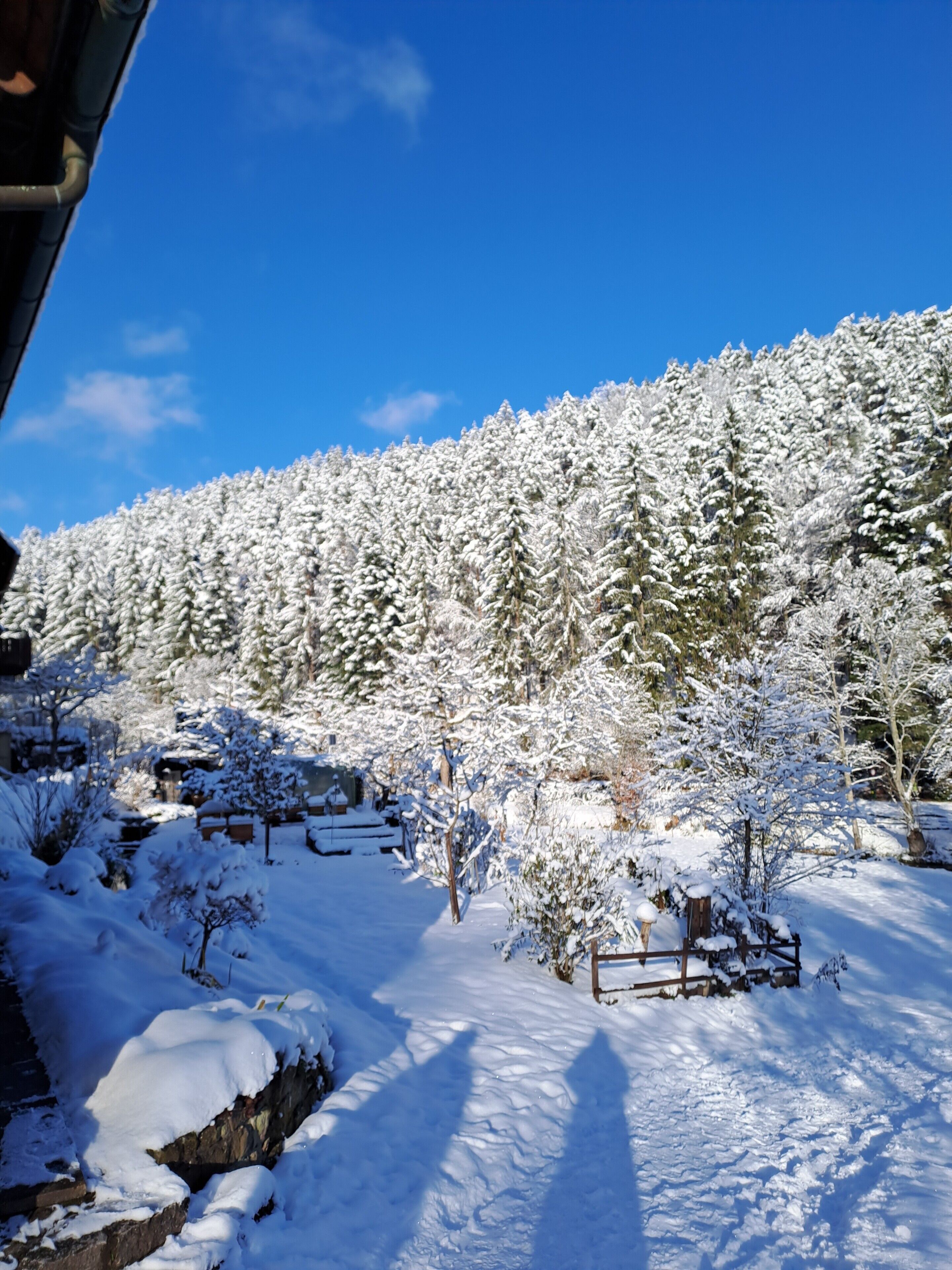 Un paysage enneigé, avec un ciel dégagé, un banc en bois et un sentier qui traverse la neige.
