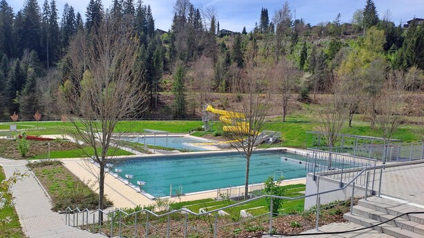 Une piscine entourée d’une terrasse, un escalier et, en arrière-plan, une colline boisée.
