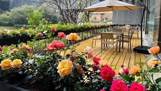 An outdoor deck with wooden furniture and a covered seating area, surrounded by flowering plants. - Citadines Nanhai Foshan (Foshan)