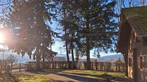 Un vignoble avec un chemin pavé, de grands arbres et un bâtiment en bois doté d’un toit en pente.