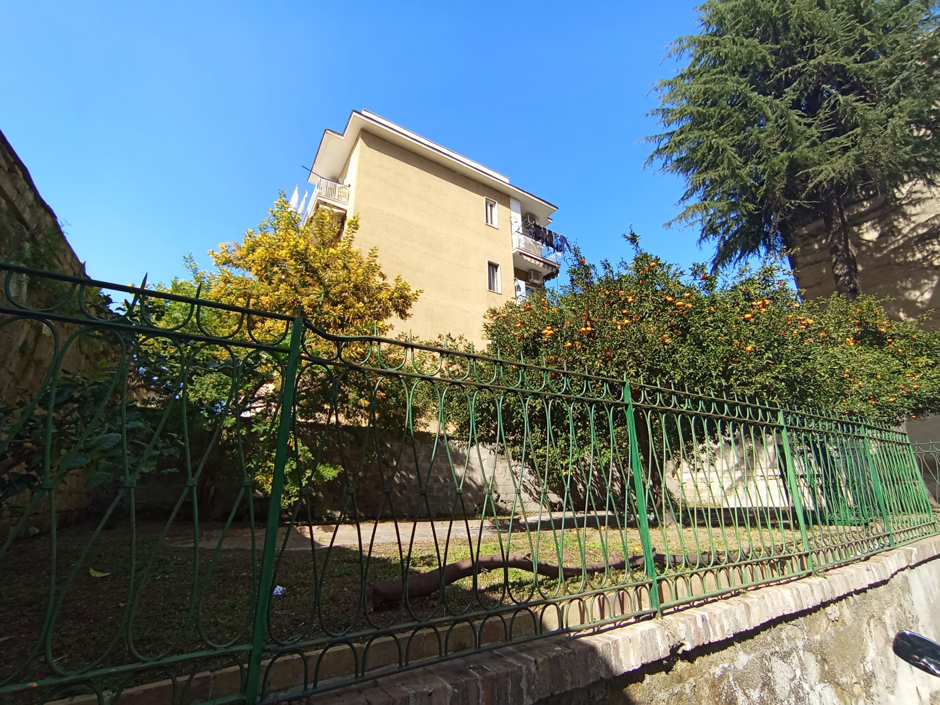 A building with a balcony, a tree with orange fruits, and a green metal fence.