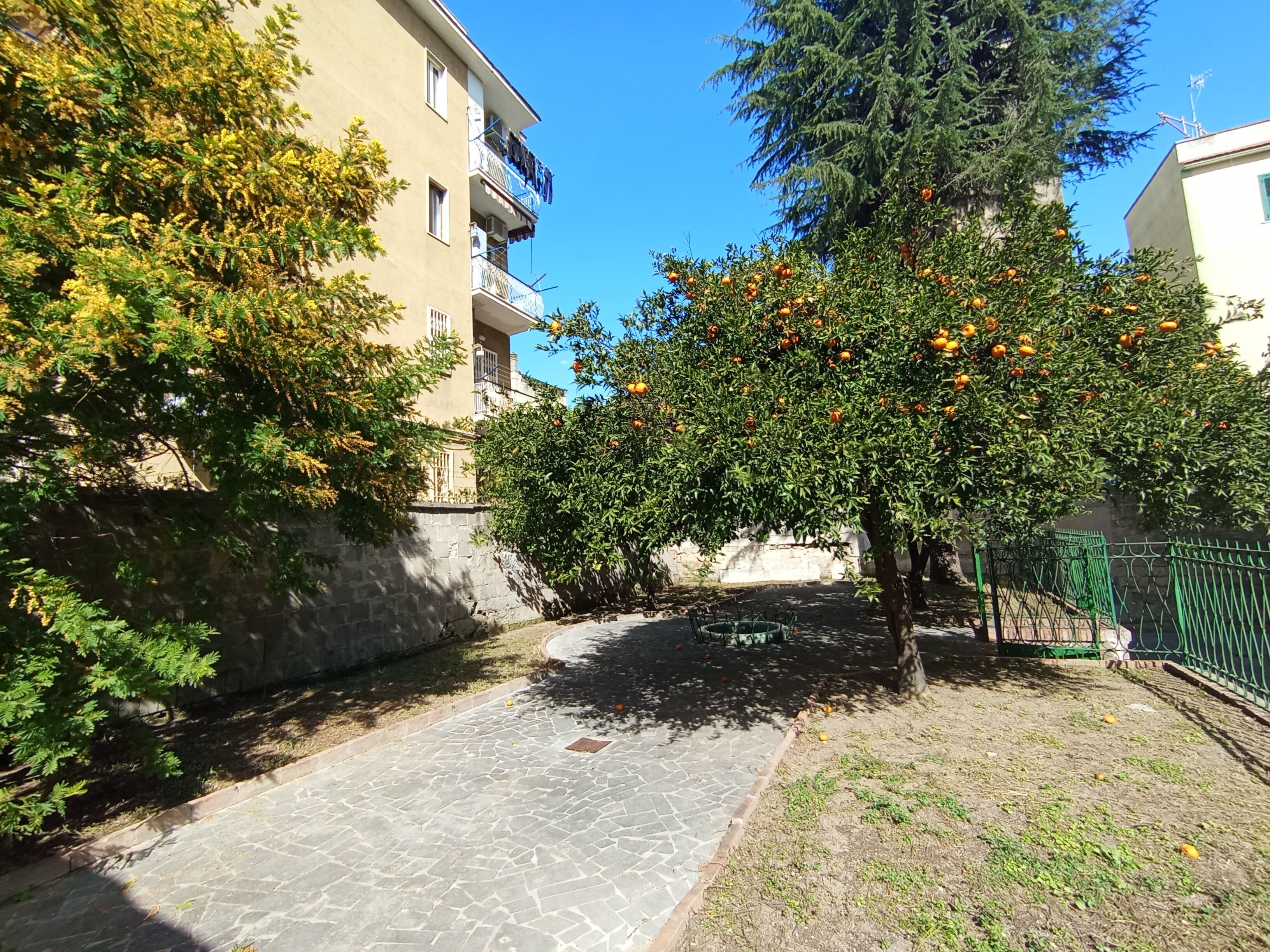 Un étroit sentier pavé, bordé de bâtiments et d’arbres fruitiers.