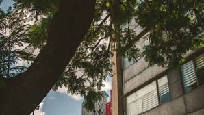 Un ingresso di un edificio con un cartello che riporta 'POLARIA' e una scala che vi conduce.