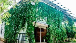 A house partially covered by green vines, with a brick wall and a metal roof. - ShiCo Transit Hotel (Seeduwa - Katunayake)