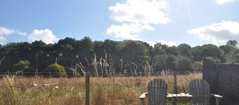 Beautiful Shepherds Hut Surrounded by Meadow
